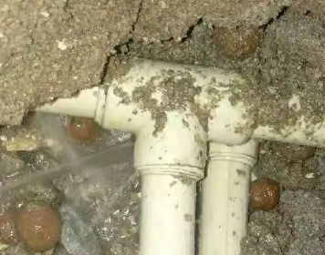 鄢陵测漏水多少钱