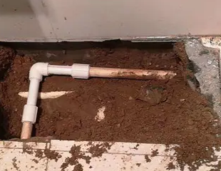 鄢陵测漏水哪家好