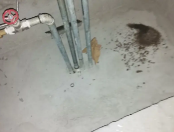 鄢陵卫生间测漏水价格明细