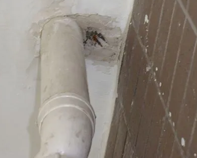 鄢陵漏水检测哪家好